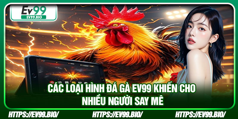 Các loại hình đá gà EV99 khiến cho nhiều người say mê