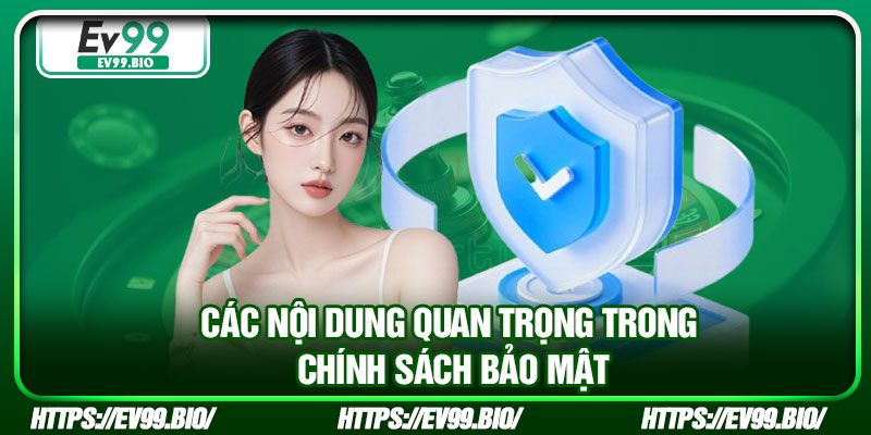 Các nội dung quan trọng trong chính sách bảo mật