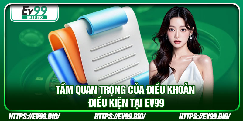 Tầm quan trọng của điều khoản điều kiện tại EV99
