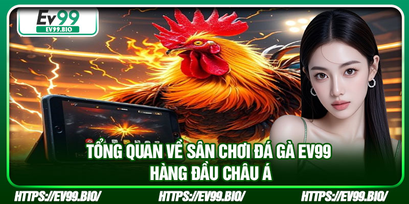 Tổng quan về sân chơi đá gà EV99 hàng đầu Châu Á