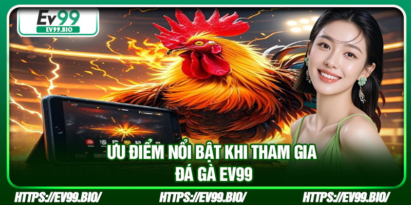 Ưu điểm nổi bật khi tham gia đá gà EV99